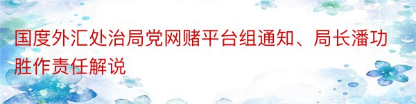 国度外汇处治局党网赌平台组通知、局长潘功胜作责任解说